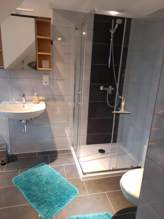 Sarah Klein Aber Fein Apartman Wellesweiler Kültér fotó